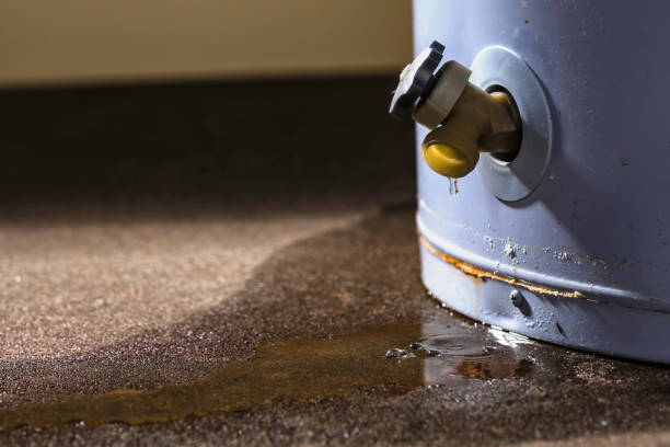 Best Flood damage cleanup  in Saucier, MS