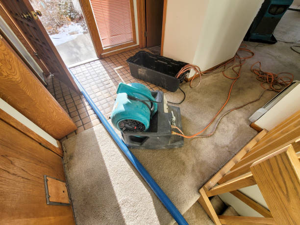 Best Water damage restoration cost  in Saucier, MS