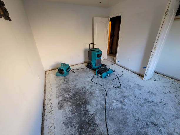 Best 24/7 water damage repair  in Saucier, MS