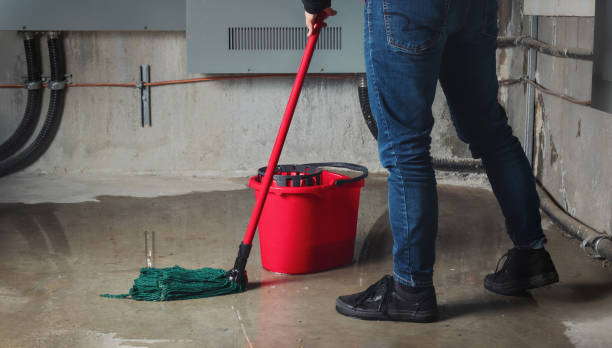 Best Water damage cleanup near me  in Saucier, MS