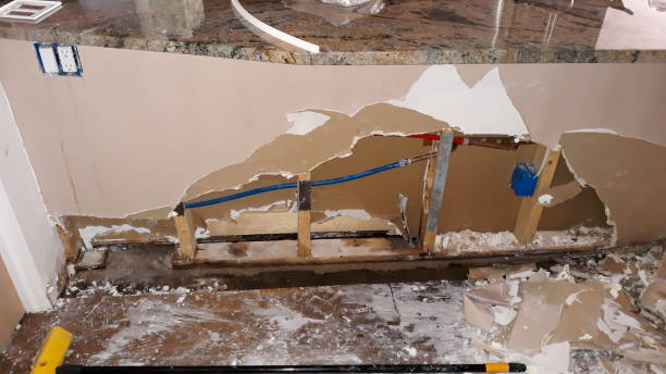 Best Flood damage cleanup  in Saucier, MS