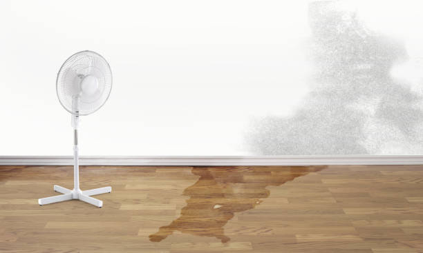 Best Emergency water damage restoration  in Saucier, MS
