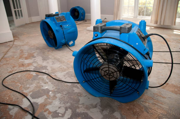 Fire Damage Restoration in MS