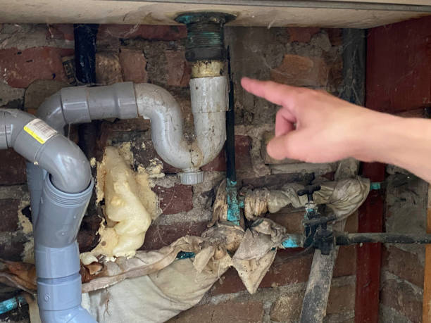 Best Professional water damage repair  in Saucier, MS